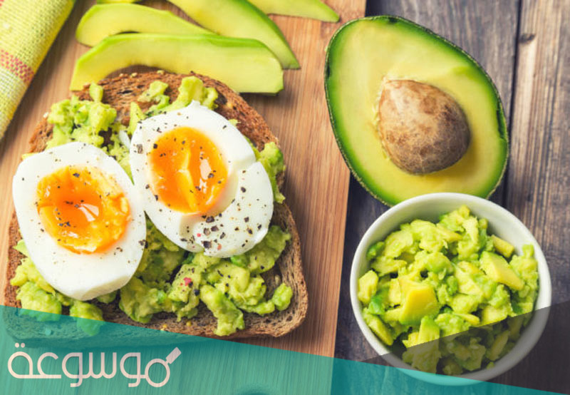 خطة رجيم البيض