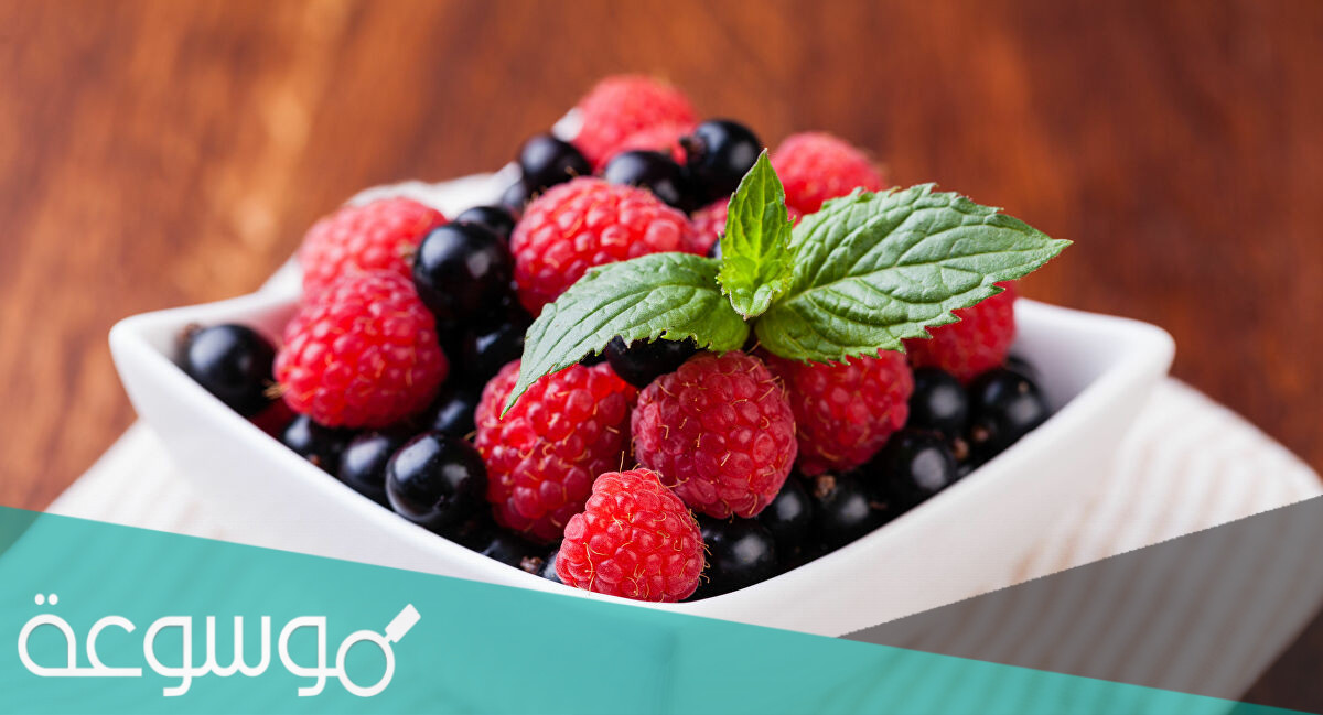 دور التوت البري في تنشيط الخلايا الدهنية و حرق الدهون