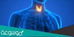 بحث عن الغدة الدرقية