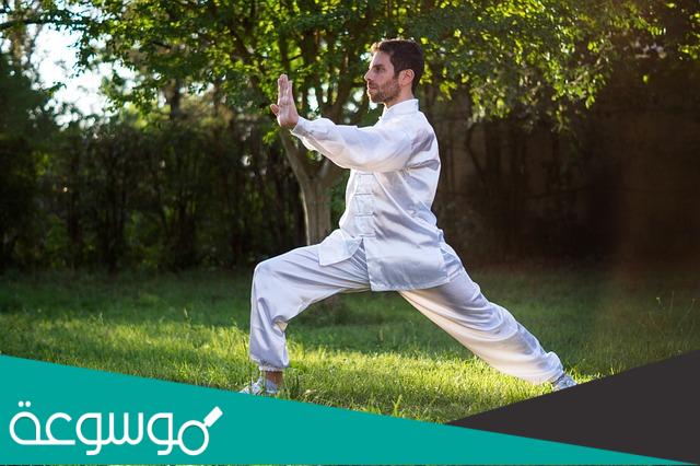 رياضة التا شي Tai chi الفنون العسكرية الدفاعية