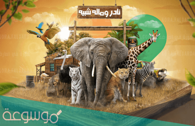 رابط حجز تذاكر سفاري في موسم الرياض