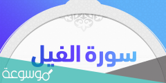 لماذا سميت سورة الفيل بهذا الاسم
