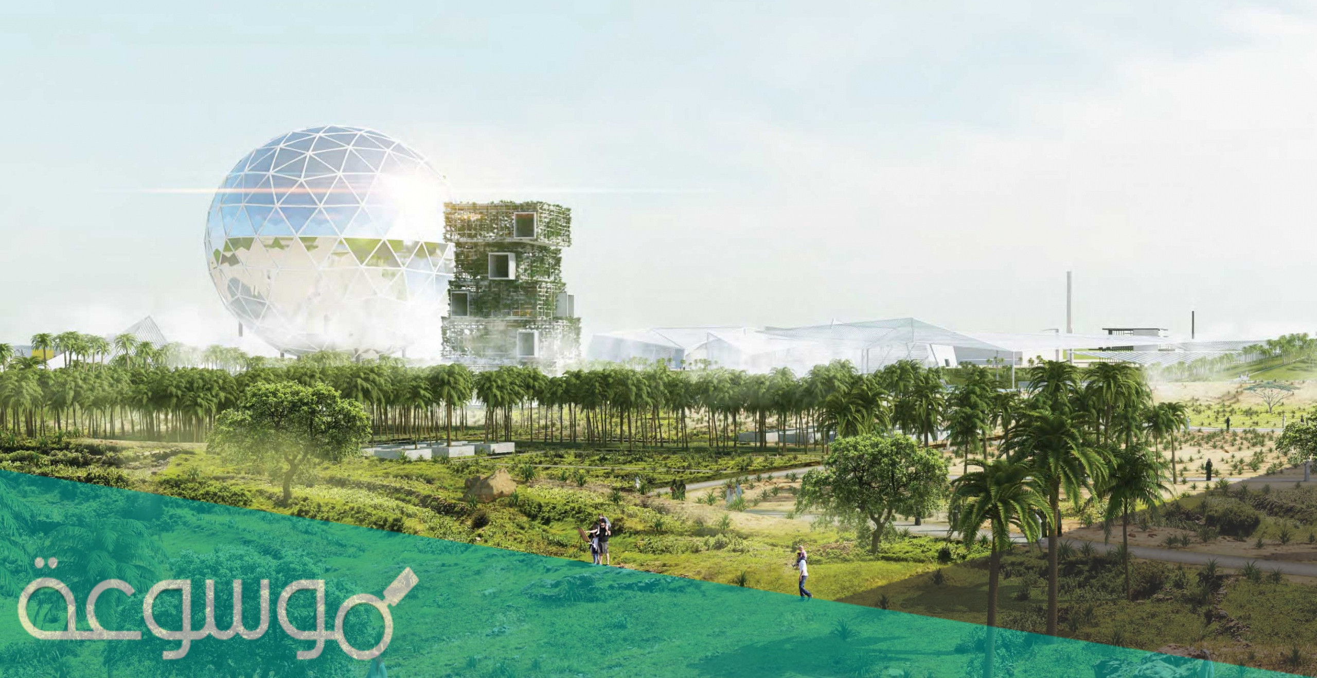 صورة حديقة الملك سلمان