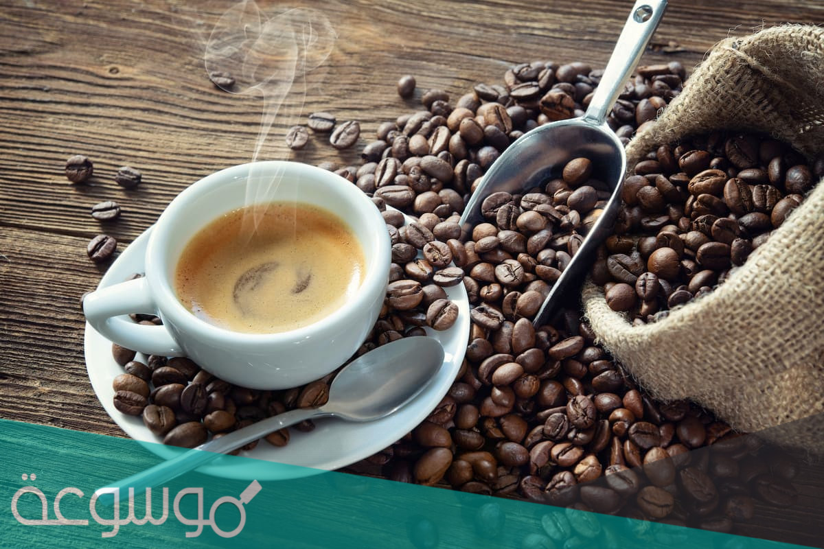 طرق سريعة لتحضير القهوة الفرنسية بنكهاتها المختلفة