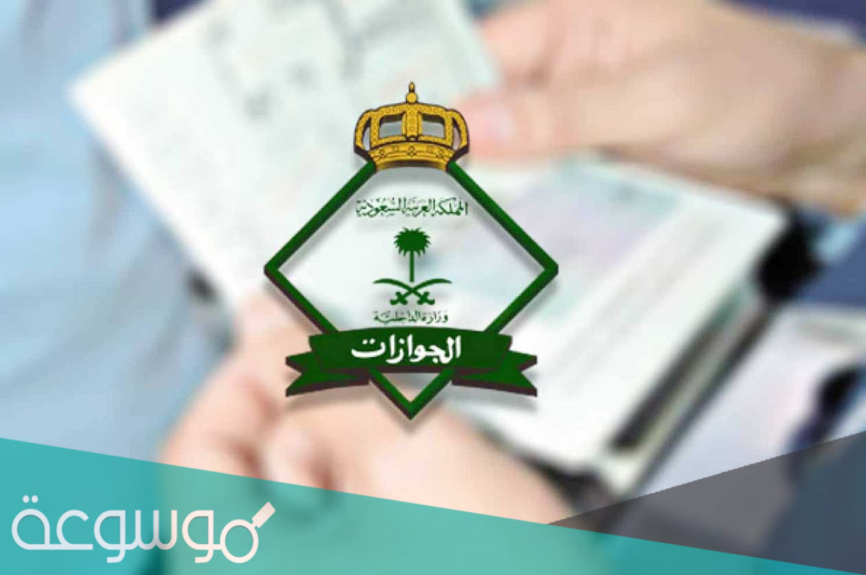 طريقة استفسار عن صلاحية التأشيرات في الجوازات