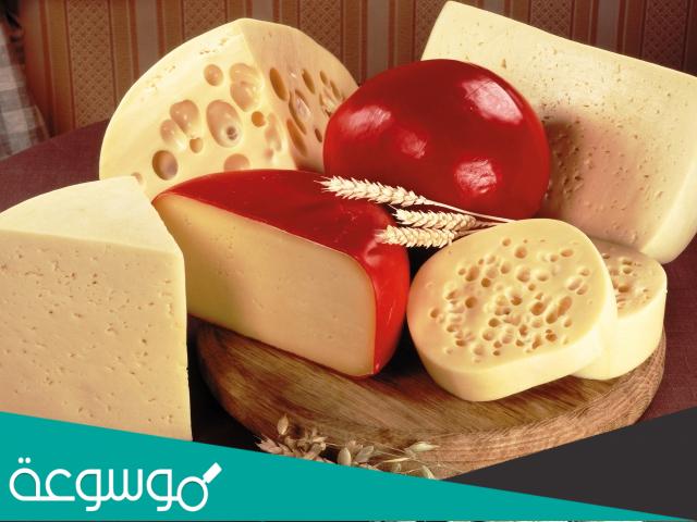 طريقة صنع الجبن المدخن في البيت