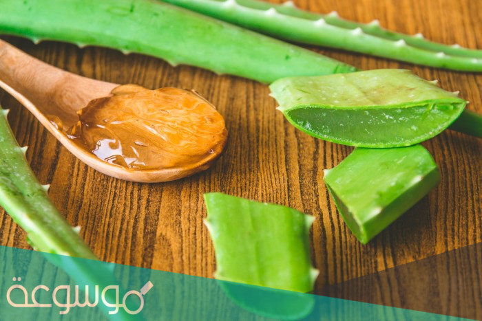 طريقة صنع صابون الألوفيرا ” الطبيعية ” .. في المنزل