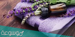طريقة عمل زيت اللافندر في البيت
