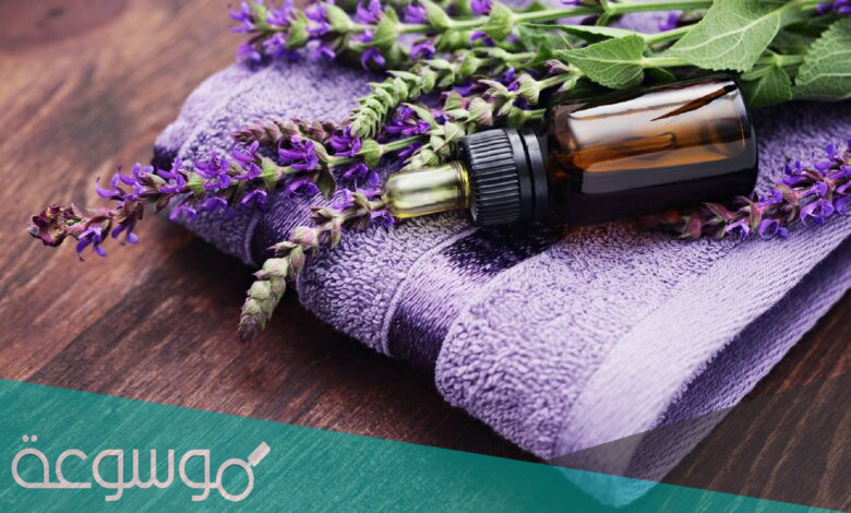 طريقة عمل زيت اللافندر في البيت