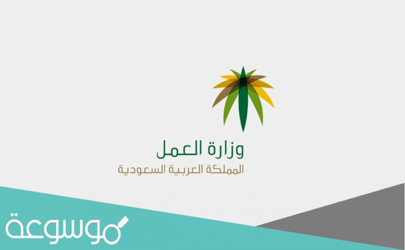 طريقة نقل سائق خاص على مؤسسة أو فرد