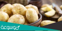 وصفات البطاطس للتسمين