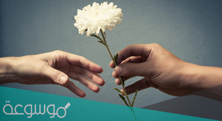 عبارات عن العطاء