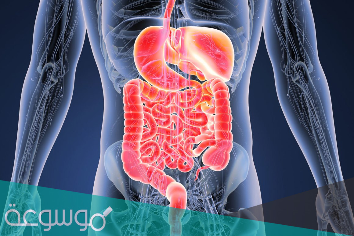 علاج انسداد الأمعاء بالأعشاب