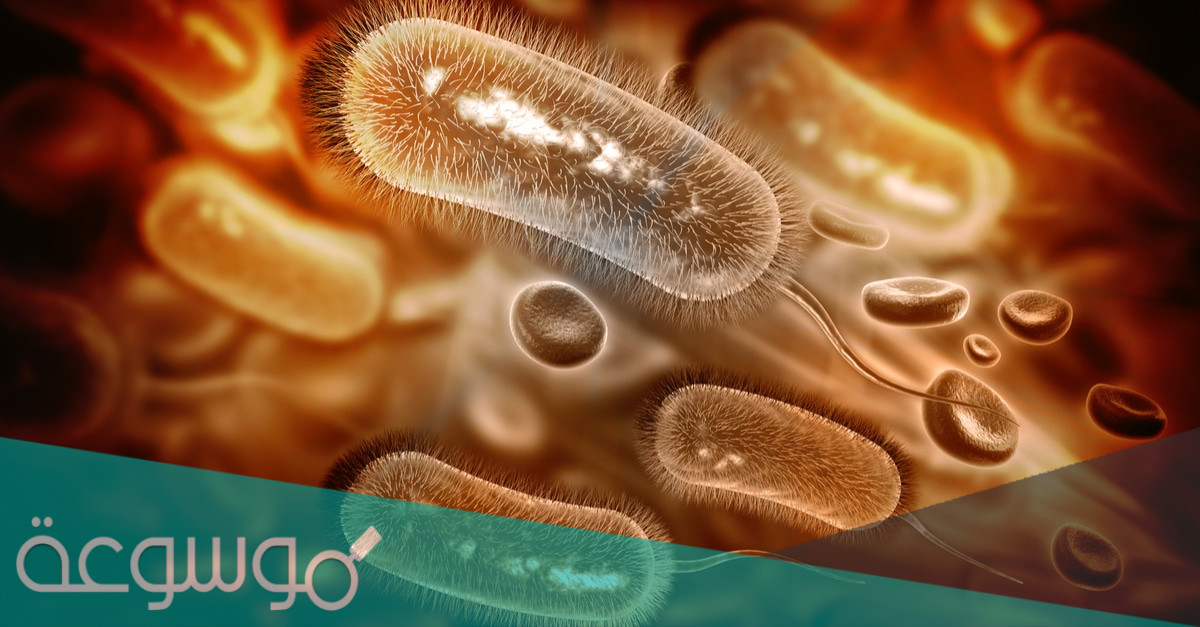 علامات تدل على وجود الجرثومة الحلزونية