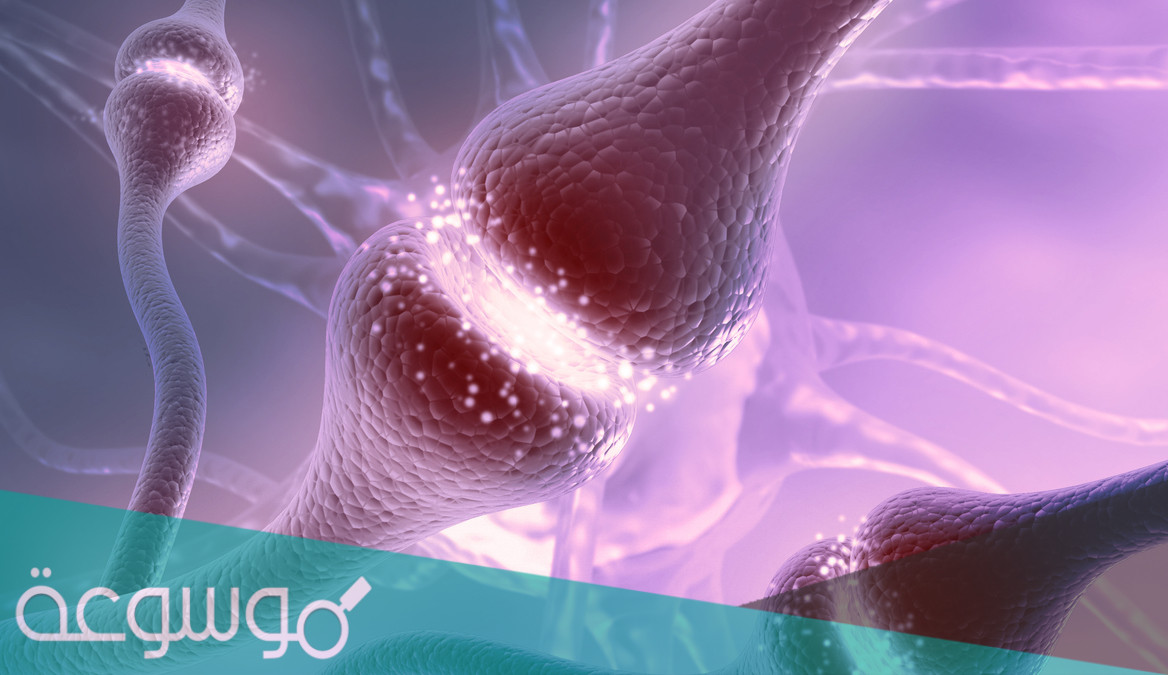 علامات نقص الدوبامين والسيروتونين