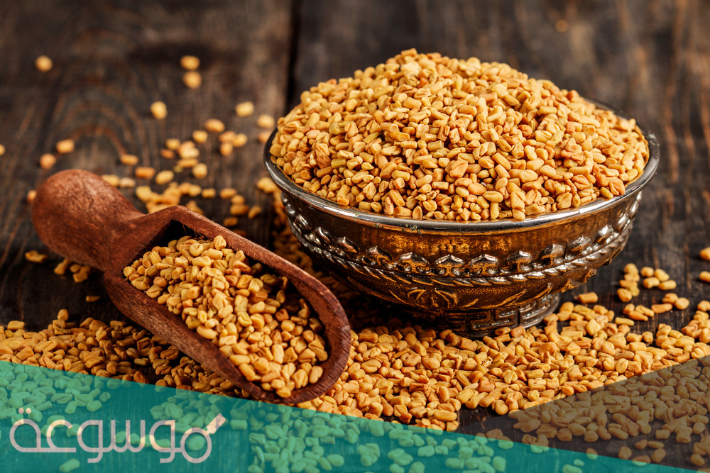 فوائد الحلبة للعظام والعضلات