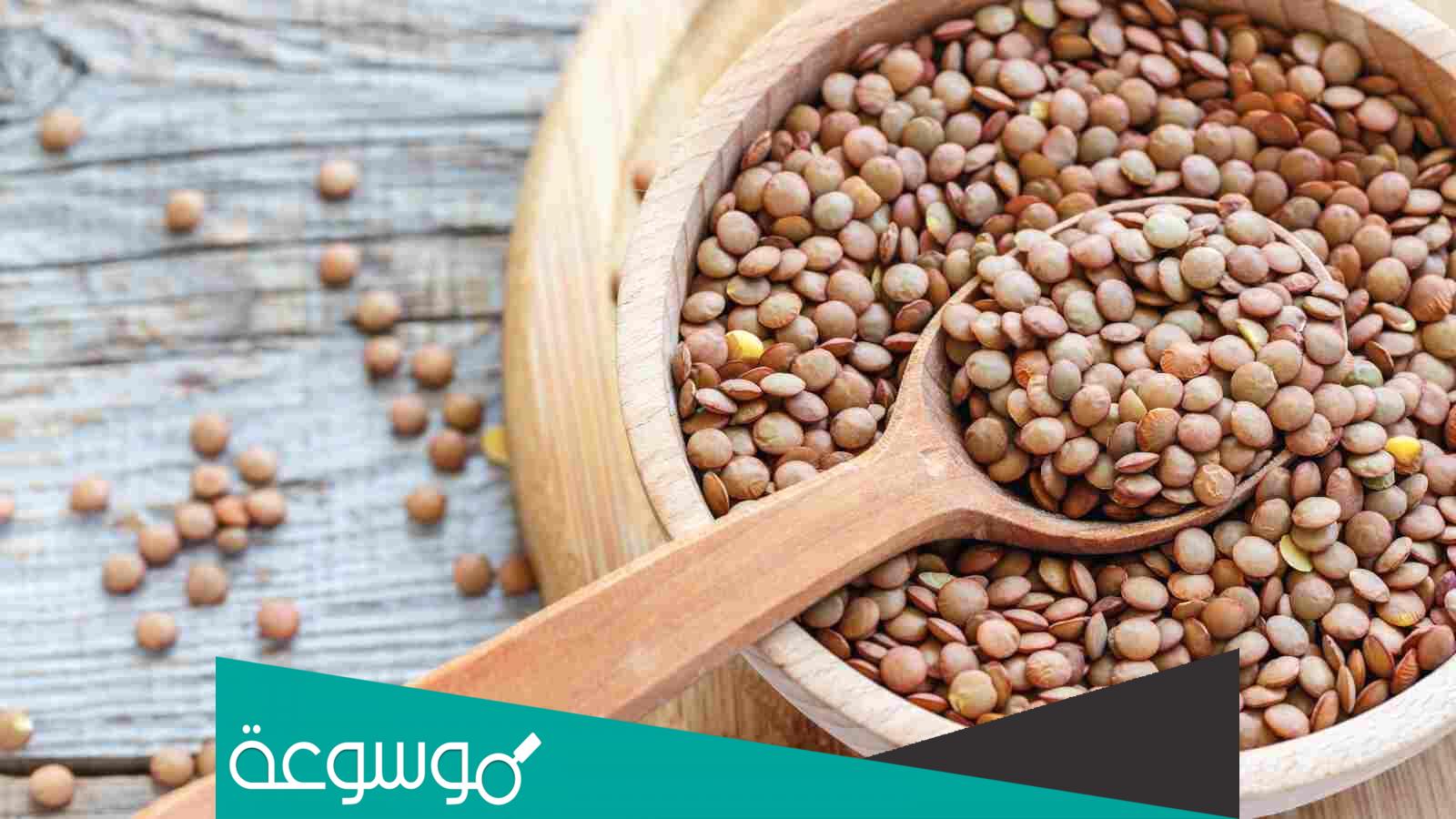 تفسير رؤية العدس في المنام حسب تفسير ابن سيرين