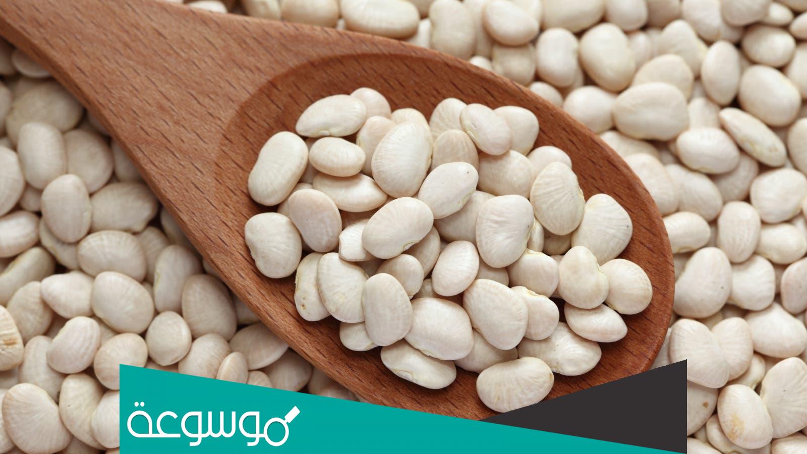 تفسير رؤية الفاصوليا في المنام حسب تفسير ابن سيرين