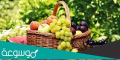 فوائد الفاكهة للصحة والجمال
