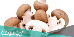 فوائد المشروم Mushroom