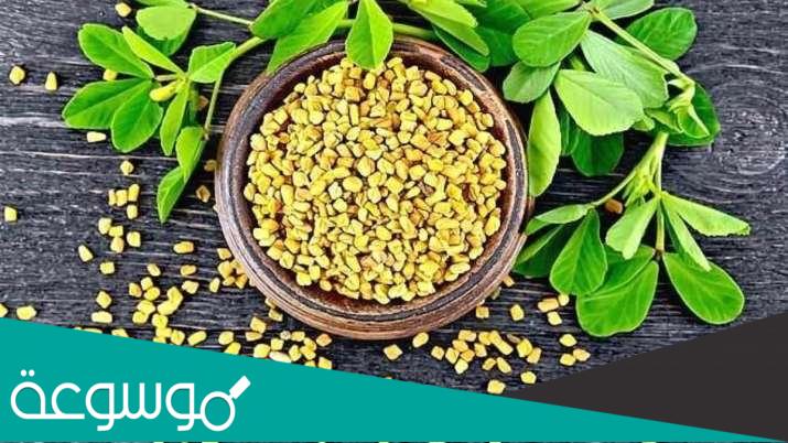 فوائد بذور الحلبة لمرضى السكري
