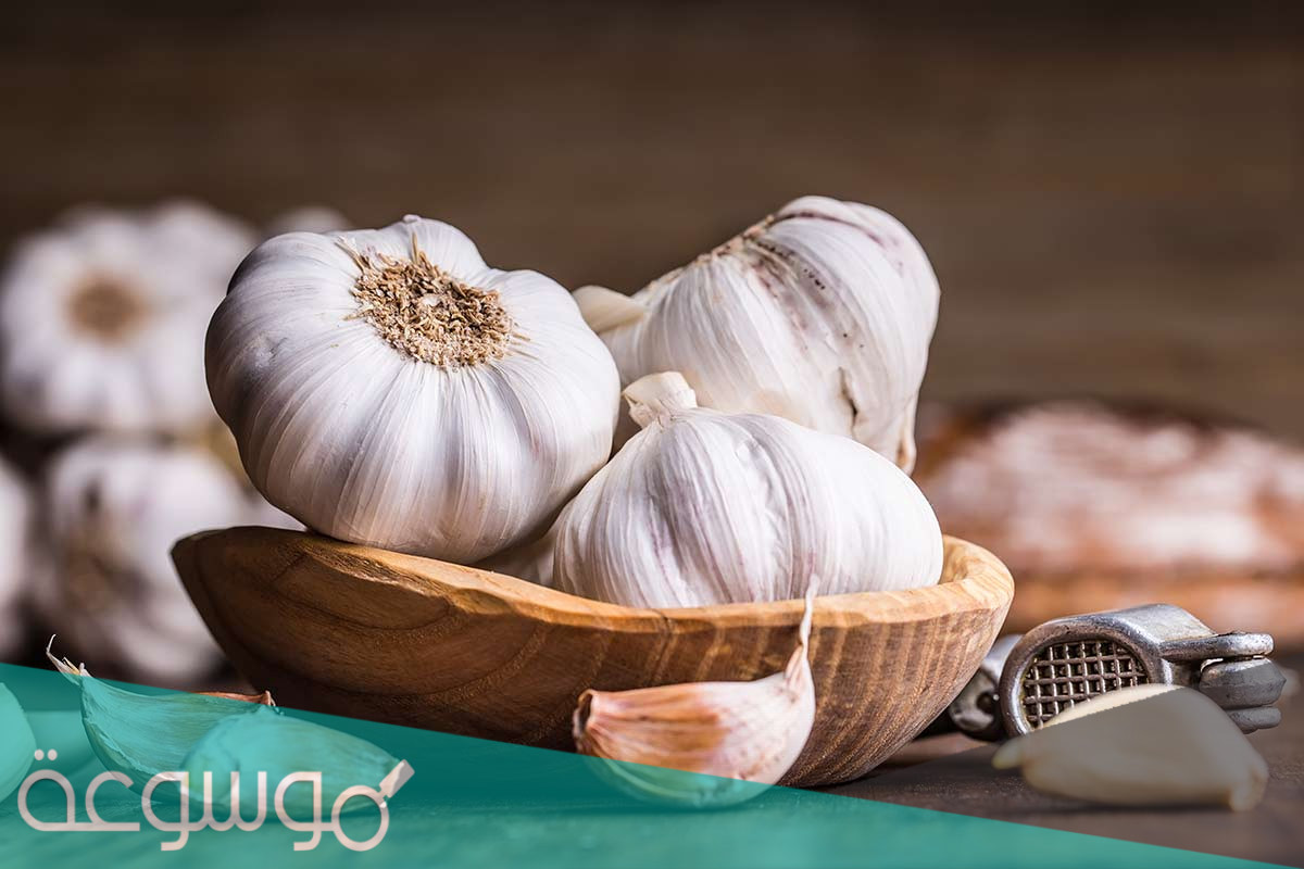 فوائد تناول الثوم لتقوية الجهاز المناعي