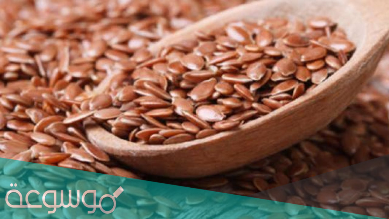 فوائد حب الرشاد للحمل