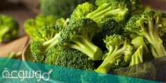 فوائد خضار البروكلي وطريقة تحضيره في البيت