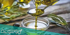 فوائد زيت الزيتون لعلاج الدوالي