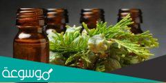 فوائد زيت السرو Cypress Essential Oil