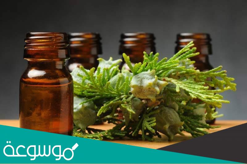 فوائد زيت السرو Cypress Essential Oil