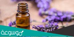 فوائد زيت اللافندر للشعر وطرق استخدامه