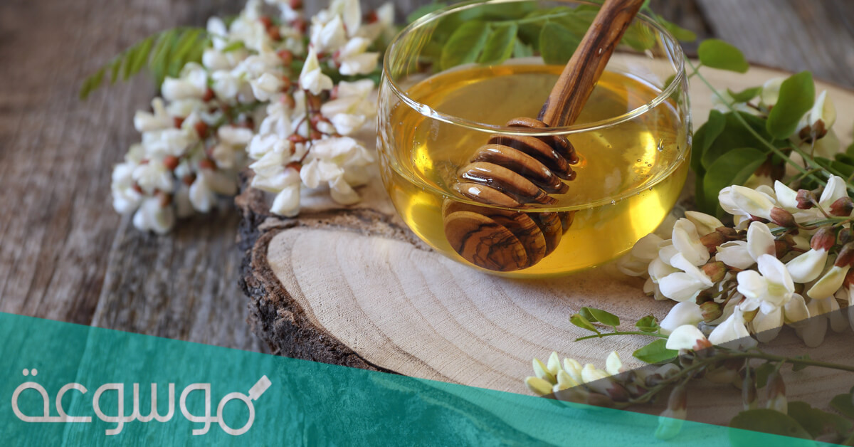 فوائد عسل الأكاسيا العضوي