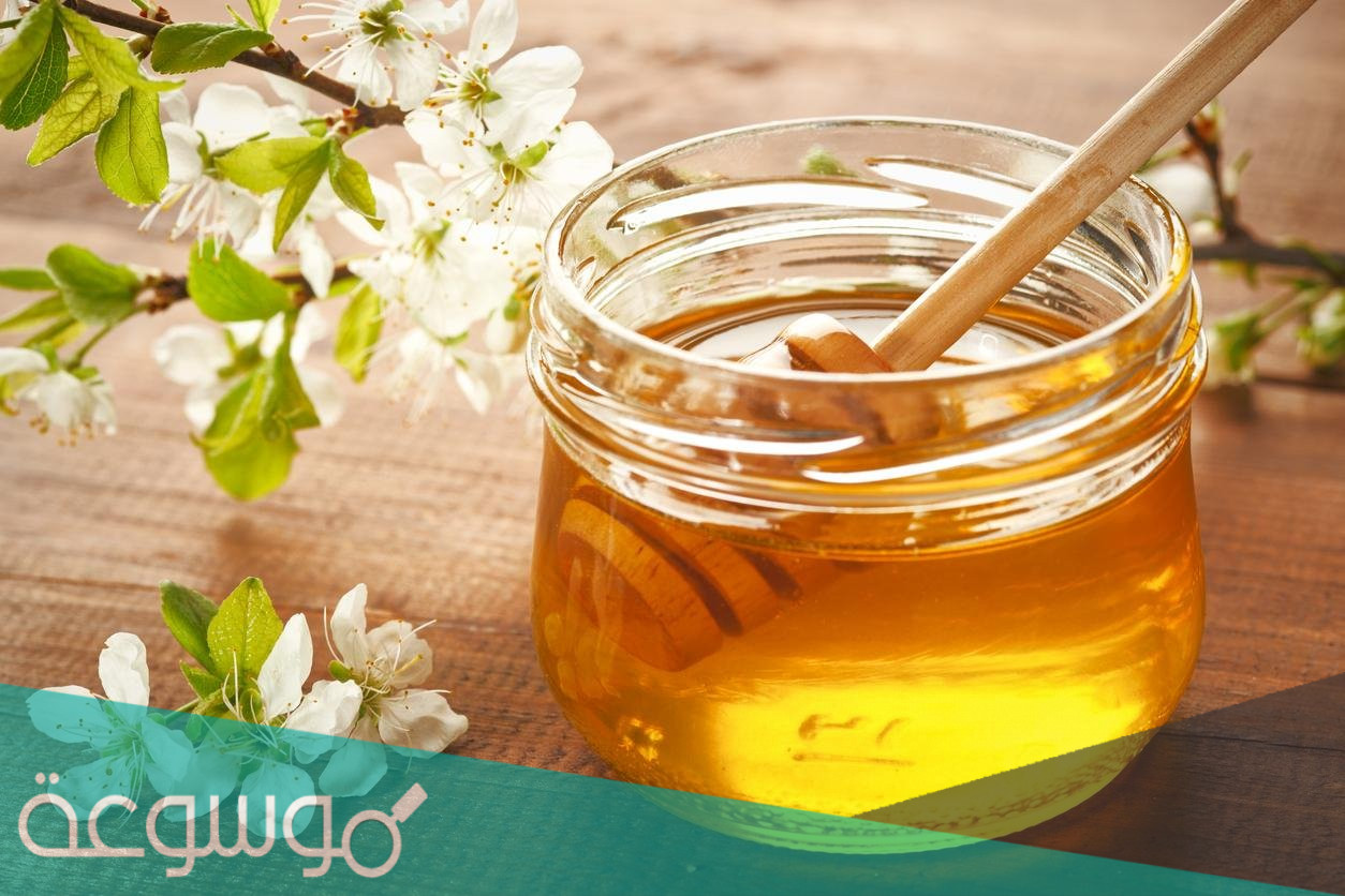 فوائد عسل الزعتر للجنس .. كيف تحقيق ذلك ؟