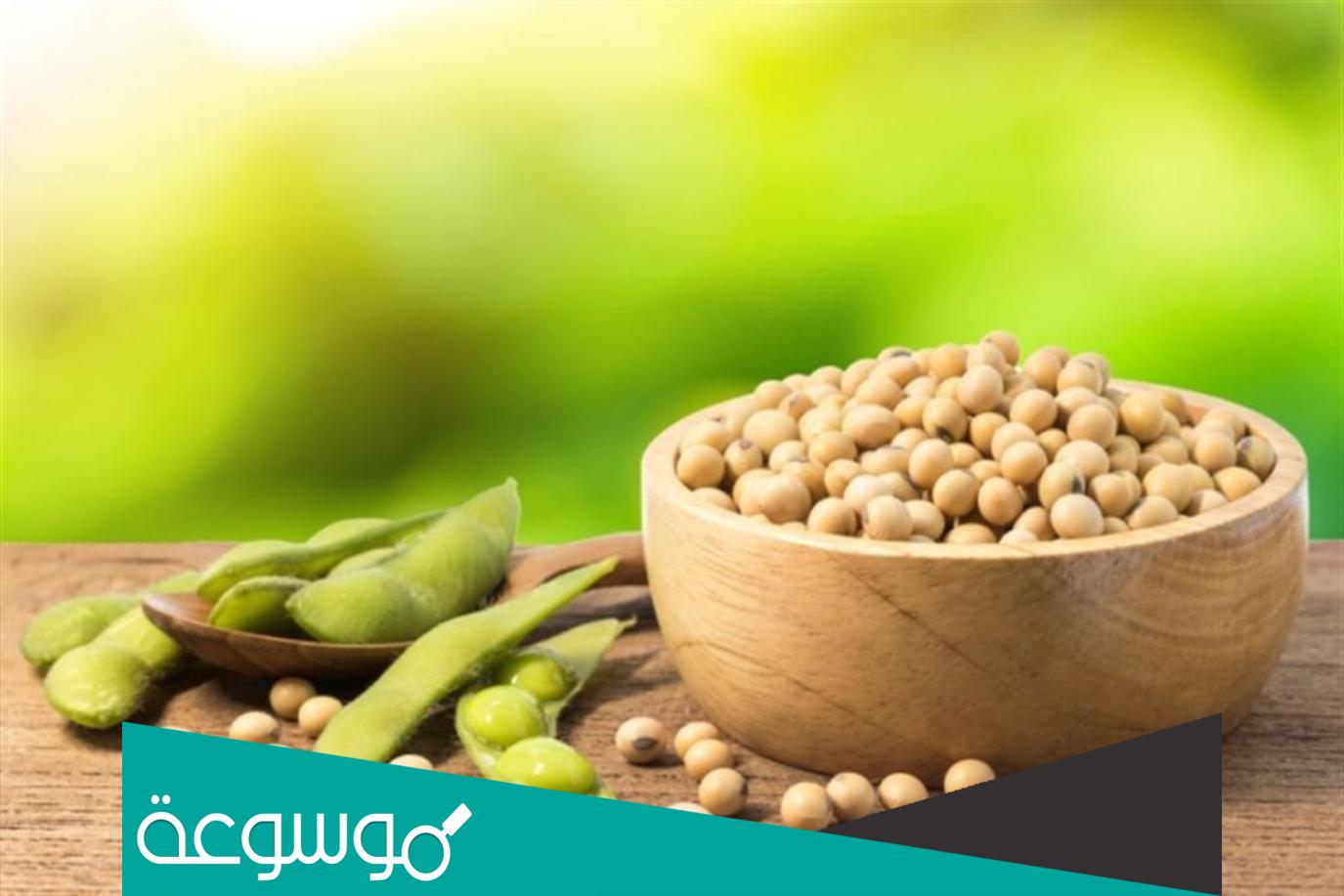 فوائد فول الصويا الصحية للمرأة