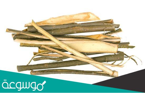 فوائد لحاء الماغنوليا وماهي هذه العشبة الهامة