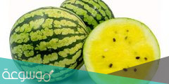 فوائد وأضرار البطيخ الأصفر