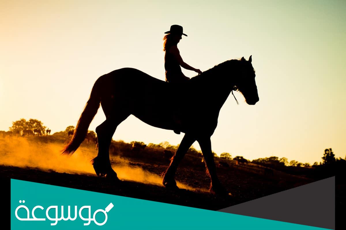 تفسير حلم رؤية ركوب الخيل في المنام حسب تفسير ابن شاهين والنابلسي