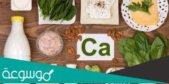 قائمة بنسبة الكالسيوم في الاطعمة المختلفة وسعراتها الحرارية