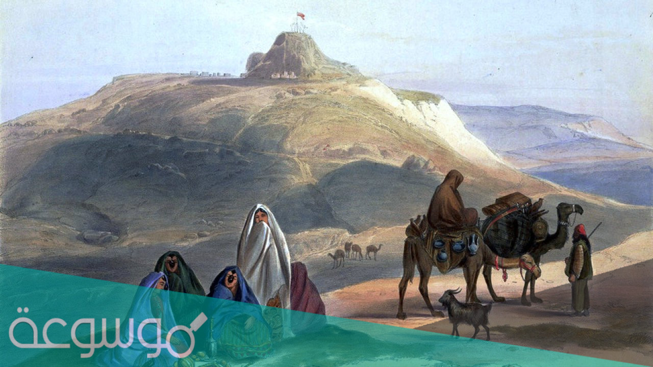 الحبردي وش يرجع