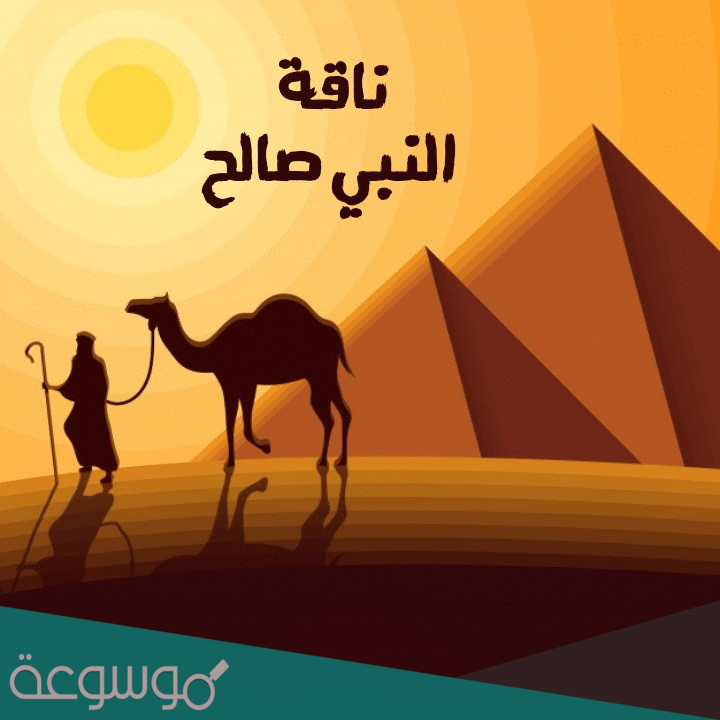 قصة النبي صالح