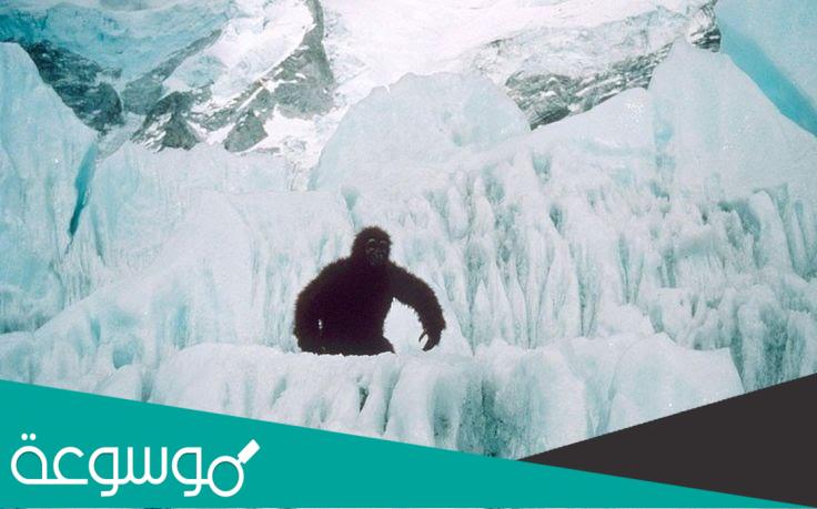 كشف لغز ييتي وحش الثلج