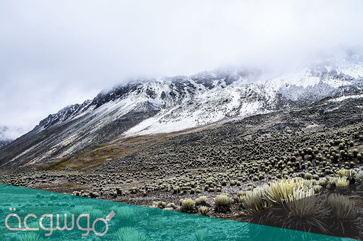 كلمة التندرا في الأسكيمو هي اسم، بماذا تعني