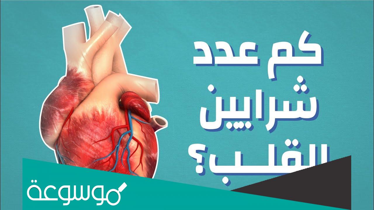 كم عدد شرايين القلب وأسمائها ومكانها