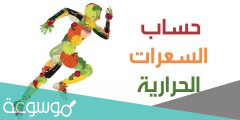 كيف احسب سعراتي الحرارية لإنقاص الوزن