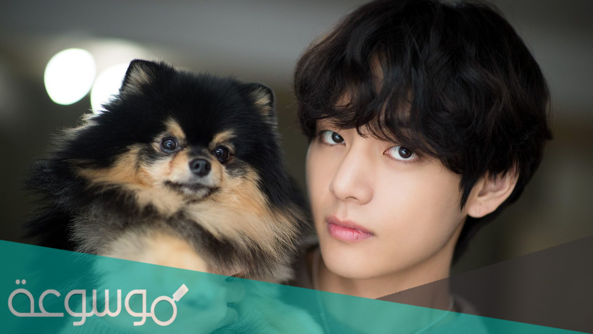 كيف اصير يونتان