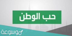 كيف تعبر عن حبك لوطنك