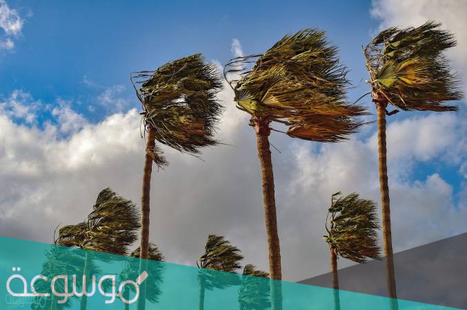 كيف تنشأ الرياح العالمية