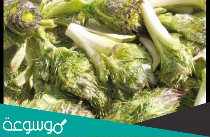 كيفية طبخ نبات العكوب