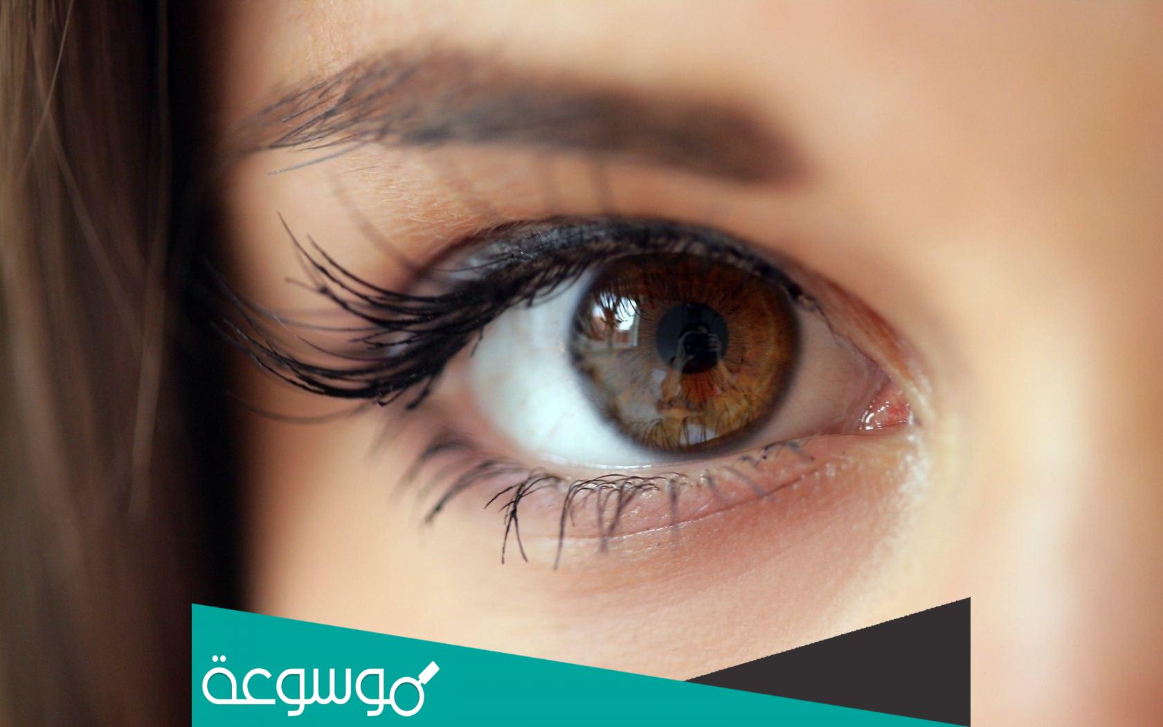 تفسير رؤية العين في المنام حسب تفسير ابن سيرين